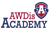 awdis-academy.gif