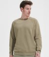 Standard Weight Sweatshirts - Raglan